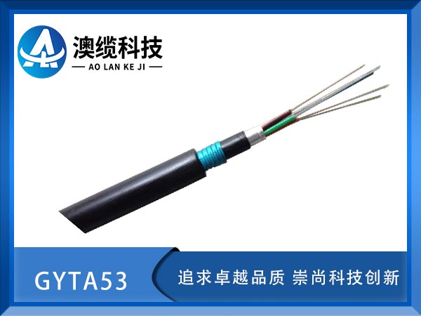 GYTA53|GYTA53|GYTA53|r